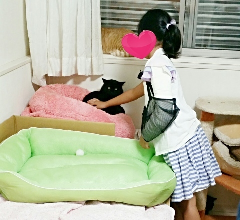 e0144012_00325729.jpeg