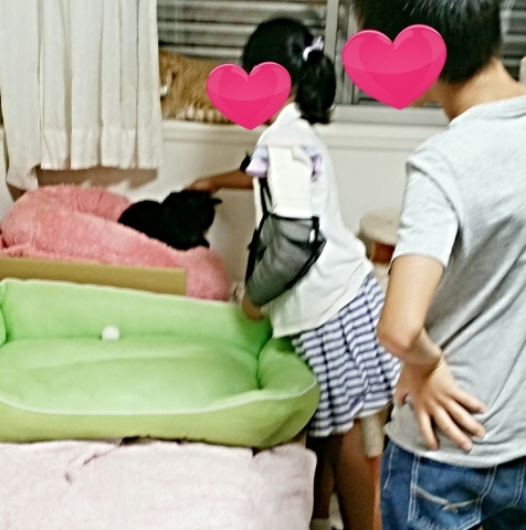 e0144012_00332139.jpeg