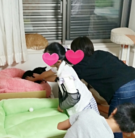 e0144012_00342615.jpeg