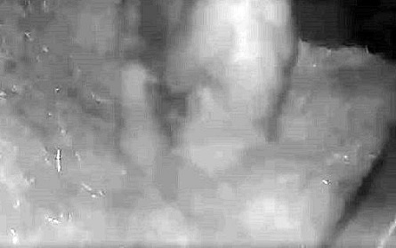 a0151913_21282564.jpg
