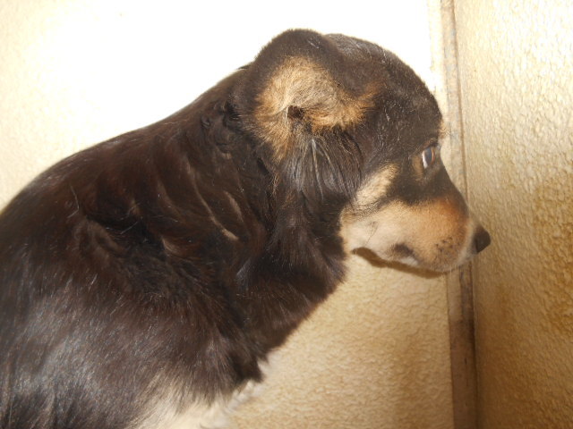 f0078320_01025317.jpg