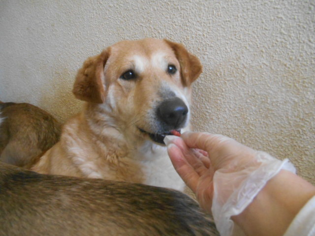 f0078320_01095874.jpg