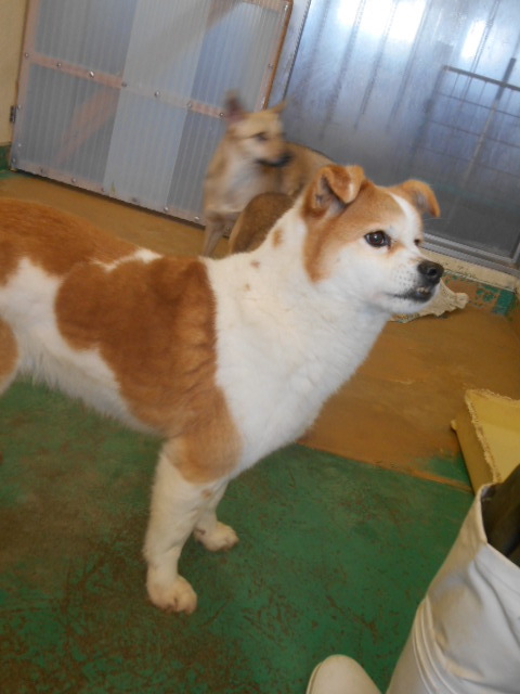 f0078320_01123571.jpg