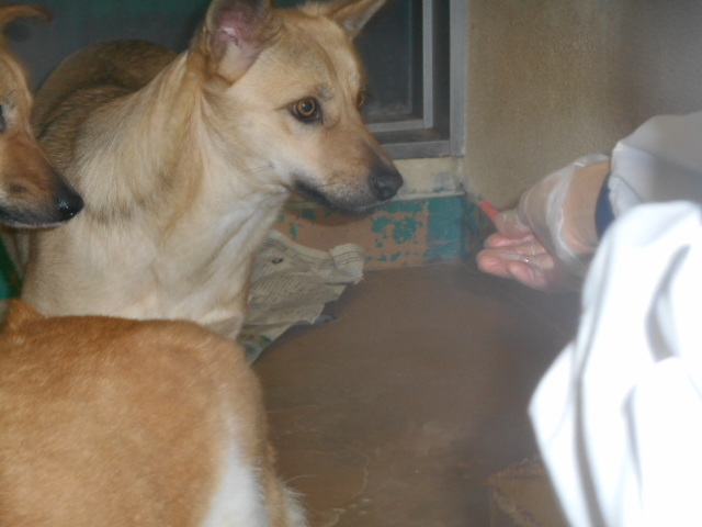 f0078320_01211916.jpg