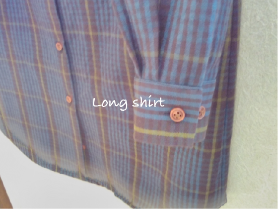 Long shirt_a0188926_21302327.png