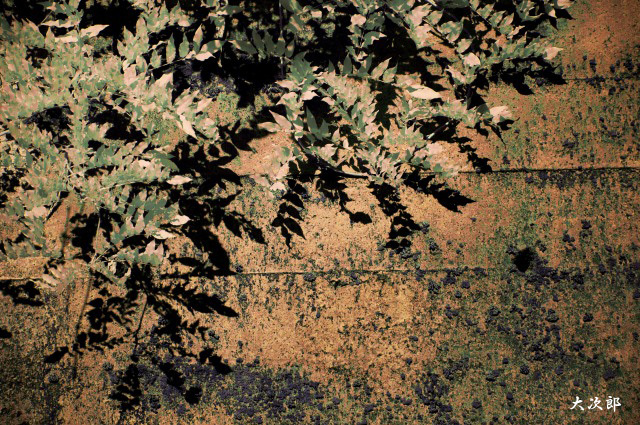 f0186527_22242429.jpg