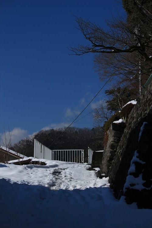 a0379133_00413715.jpg