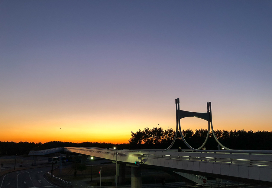 f0237034_23035088.jpg