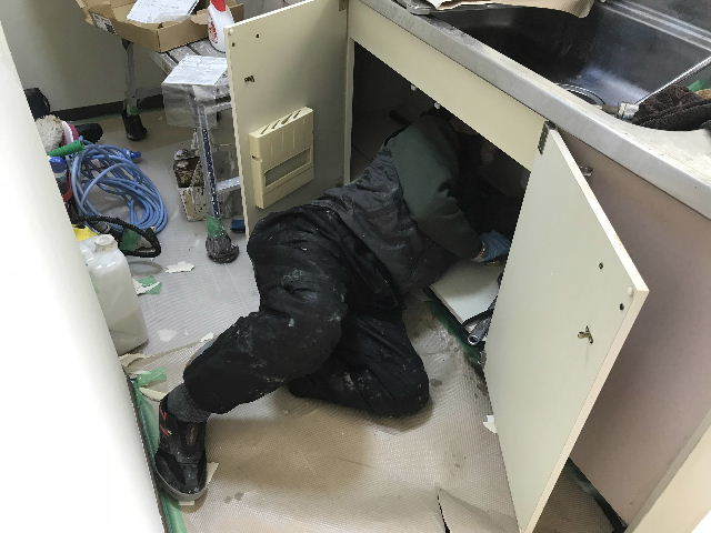 f0031037_21300563.jpg