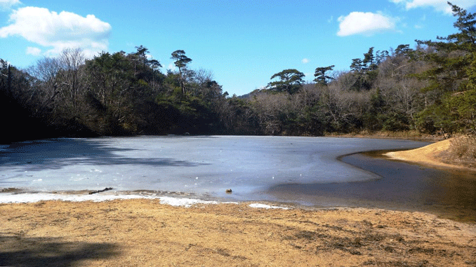 e0371039_620368.gif
