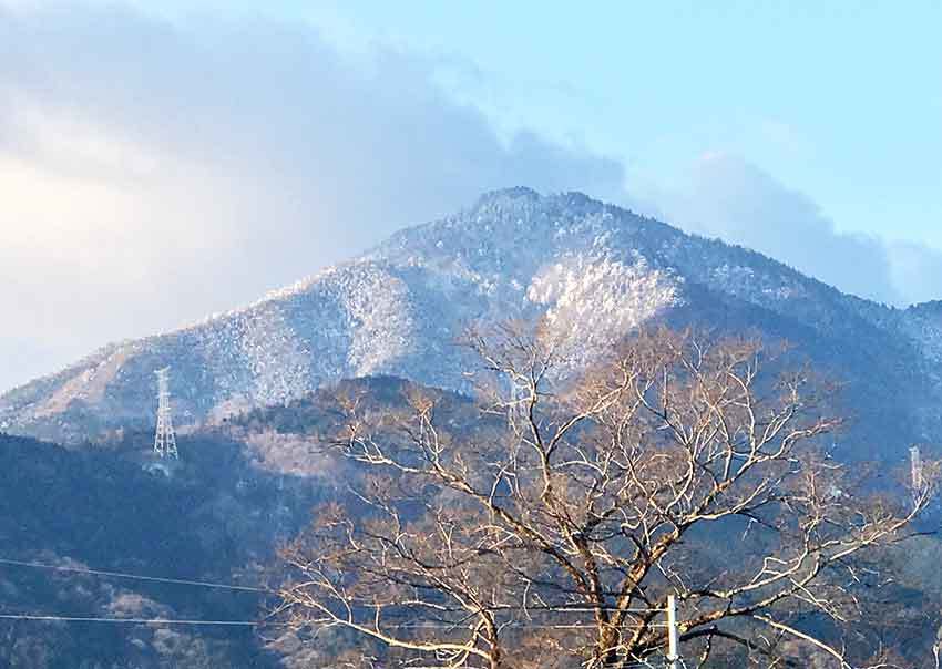 雪の三好市池田町とJR佃駅♪_d0058941_20041606.jpg