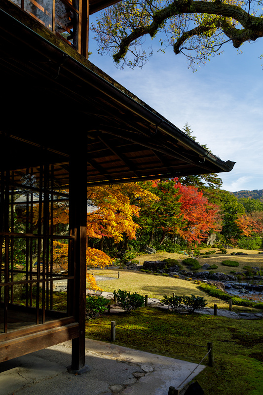 京都の紅葉2017 無鄰菴秋景色 : 花景色－K.W.C. PhotoBlog