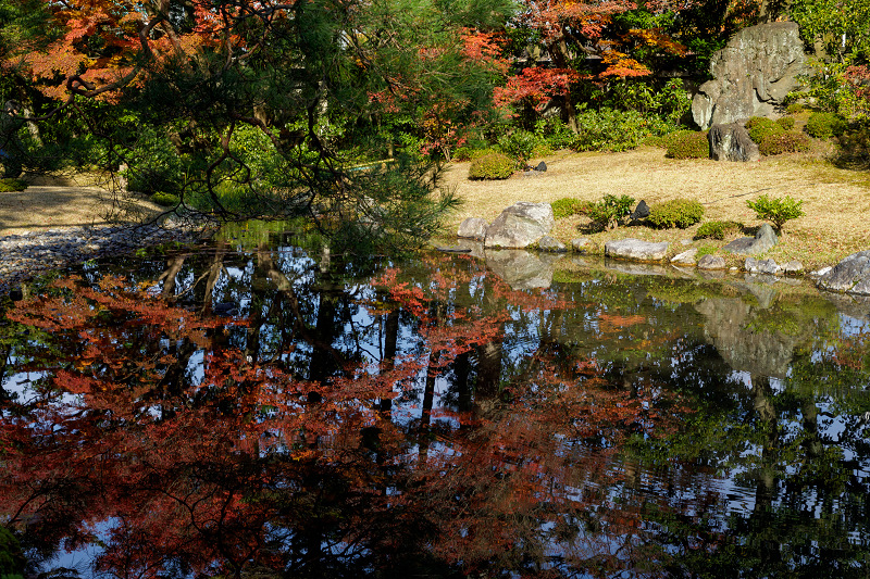 京都の紅葉2017 無鄰菴秋景色 : 花景色－K.W.C. PhotoBlog