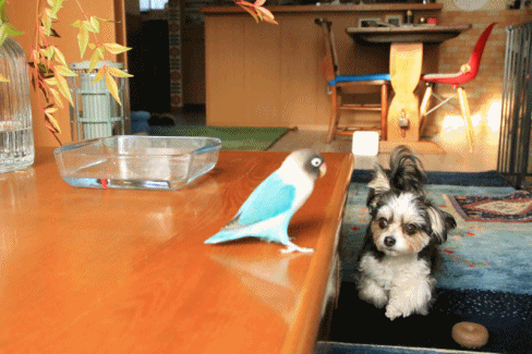 c0145250_09400989.gif