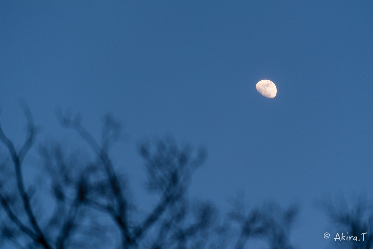 f0152550_22472360.jpg
