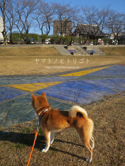 犬の本【柴犬とのしあわせな暮らし方】_a0286855_06070269.jpg