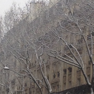 b0180156_06413436.jpg
