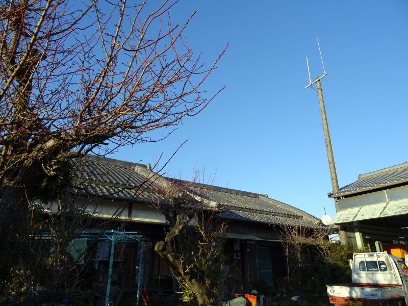 みさき里山クラブ2月度運営委員会・・・深日町「猪将(イノマサ)」_c0108460_23380301.jpg