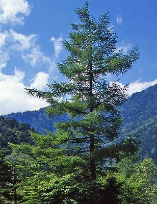 b0171771_03462277.jpg