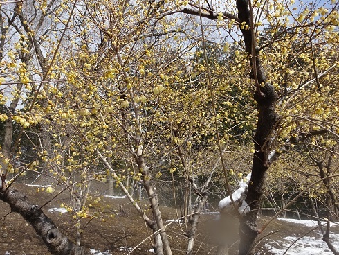c0273271_15214672.jpg