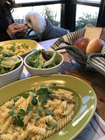 b0193480_14343213.jpeg