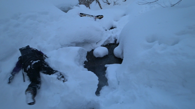 a0242984_14523965.png