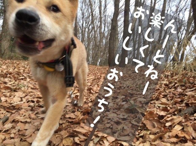 c0332184_18540849.jpeg