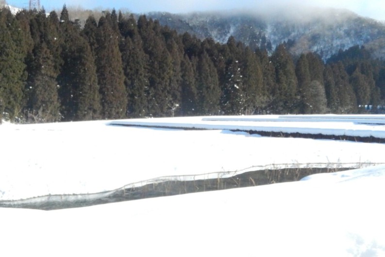 c0144185_15401416.jpg