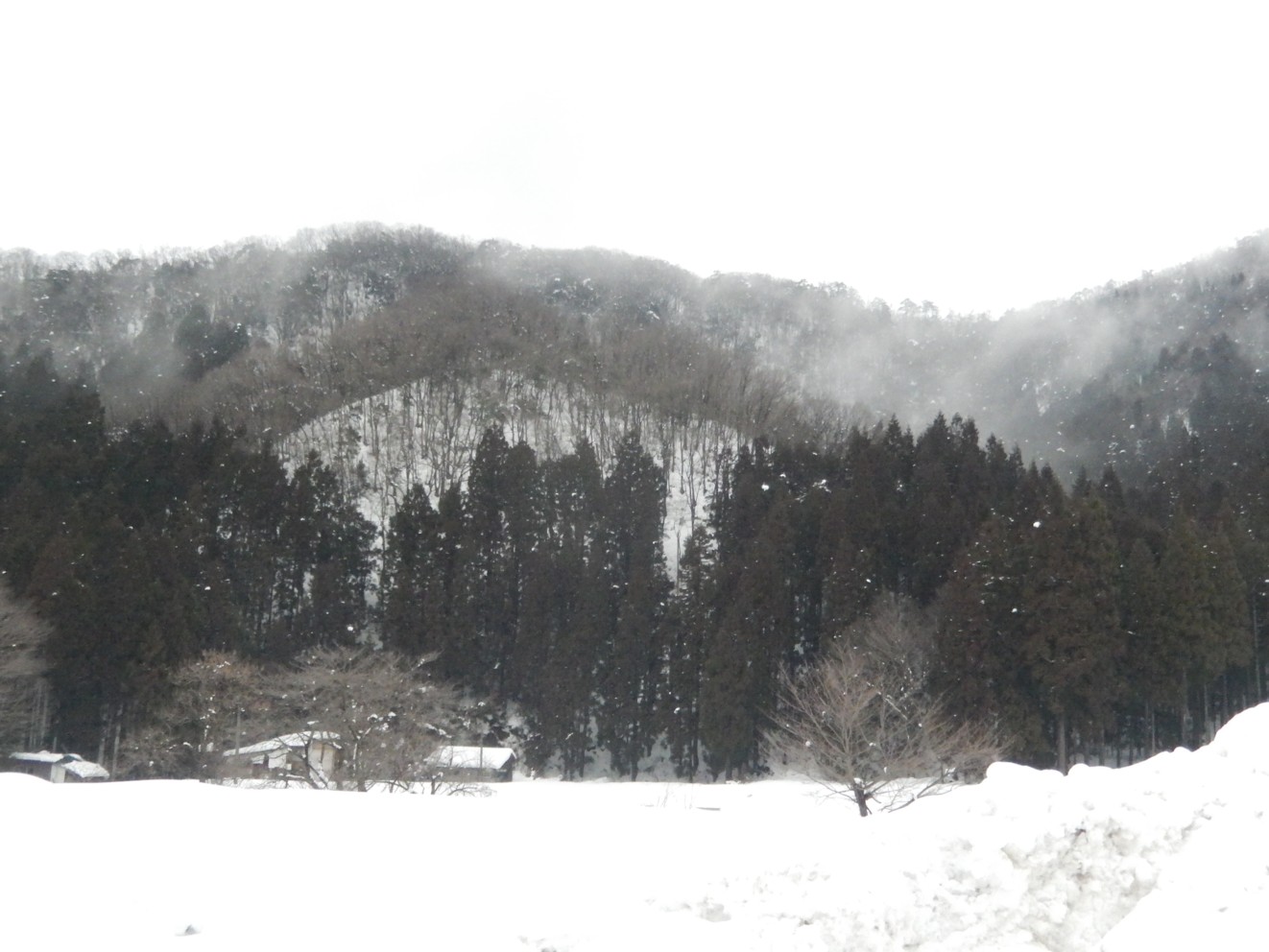 c0144185_15521114.jpg