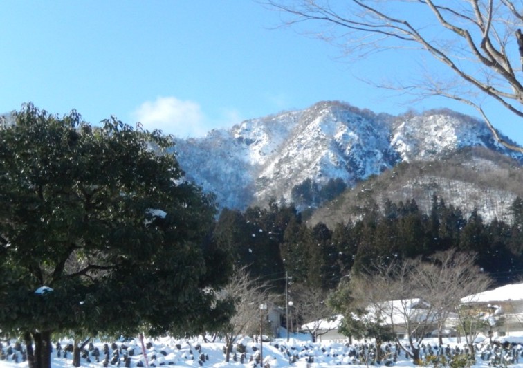 c0144185_1602664.jpg