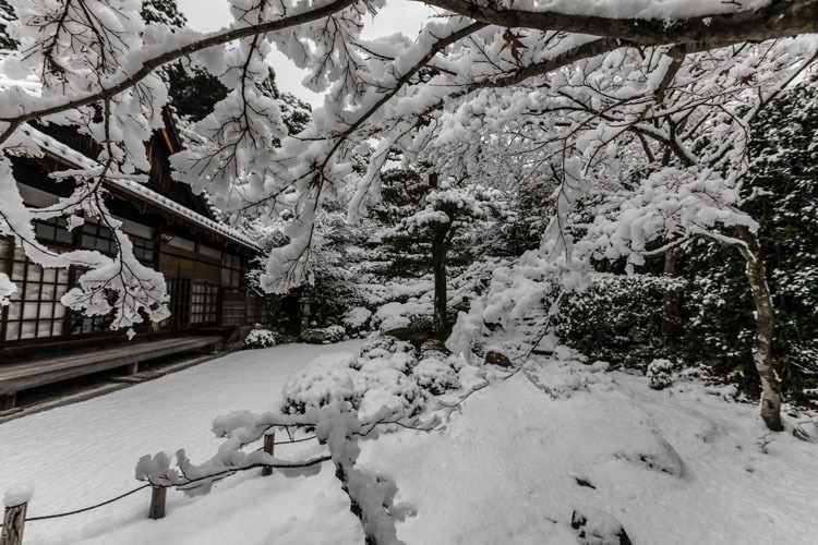 金福寺_e0051888_23564276.jpg