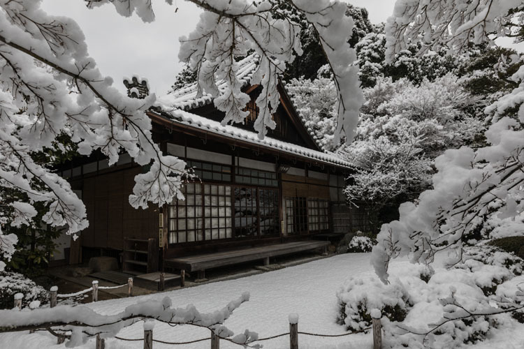 金福寺_e0051888_23564284.jpg