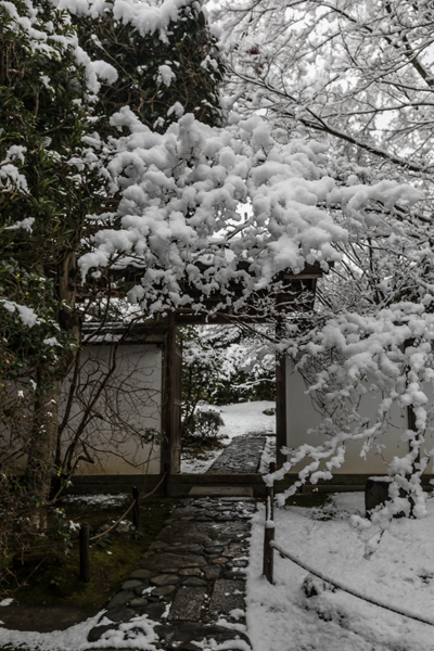 金福寺_e0051888_23564298.jpg