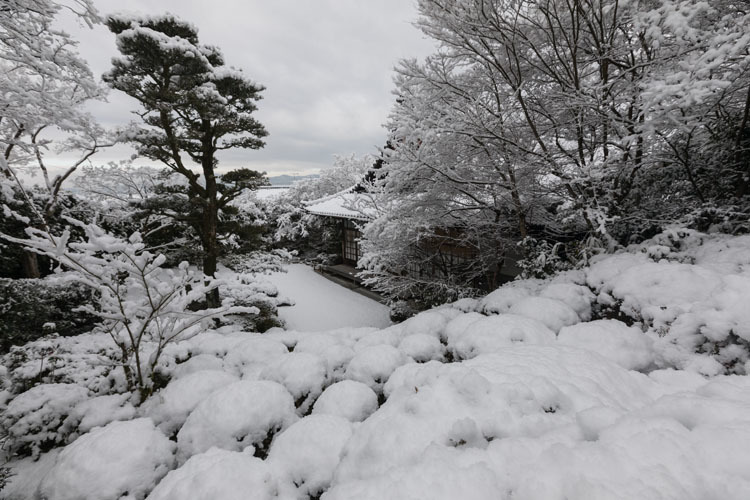 金福寺_e0051888_23573138.jpg