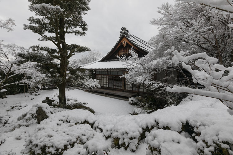 金福寺_e0051888_23573143.jpg