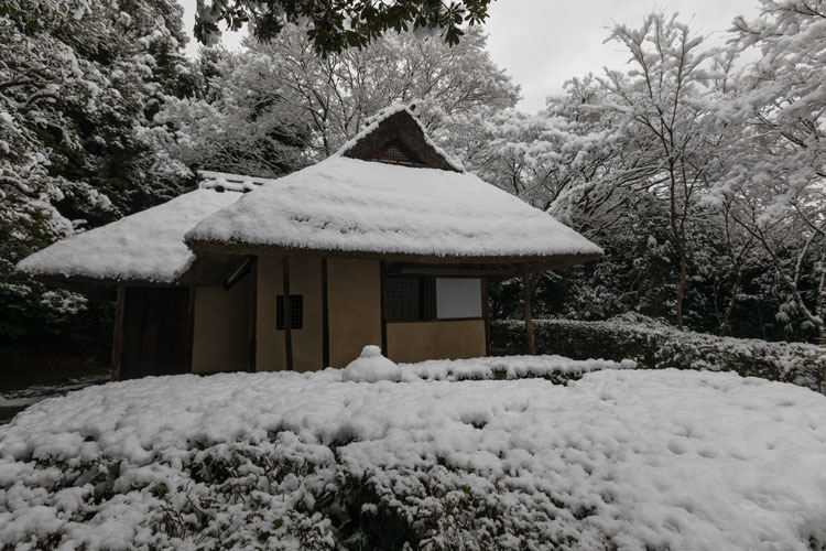 金福寺_e0051888_23573285.jpg