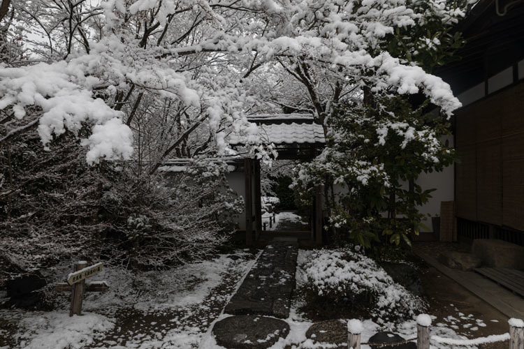金福寺_e0051888_23583904.jpg
