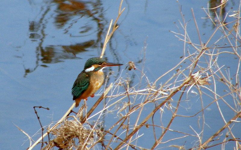 c0057390_23344784.jpg