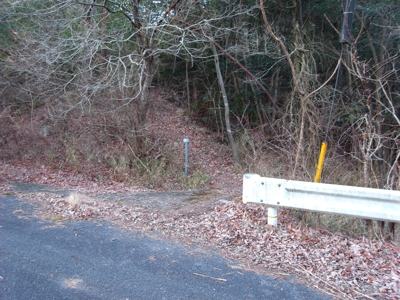 熊山 反射板コースを登る！の巻_f0325295_14383909.jpg