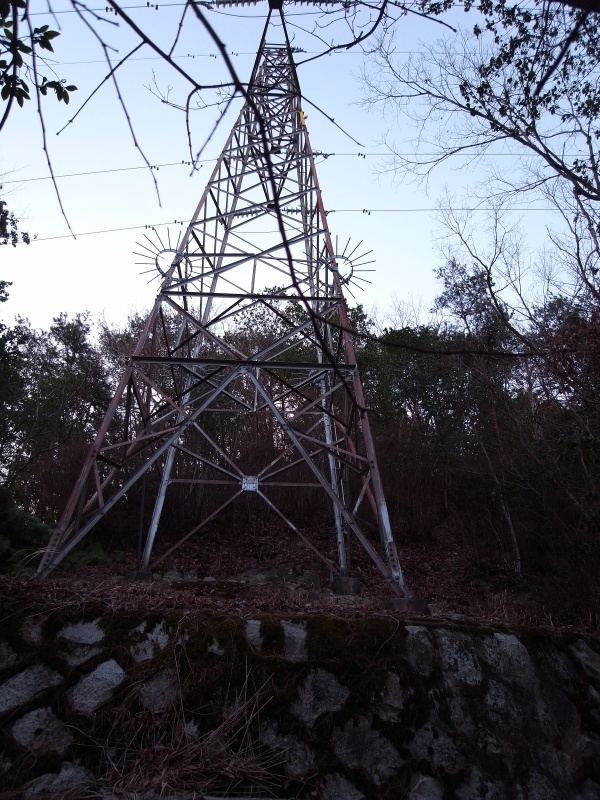 熊山 反射板コースを登る！の巻_f0325295_14384666.jpg