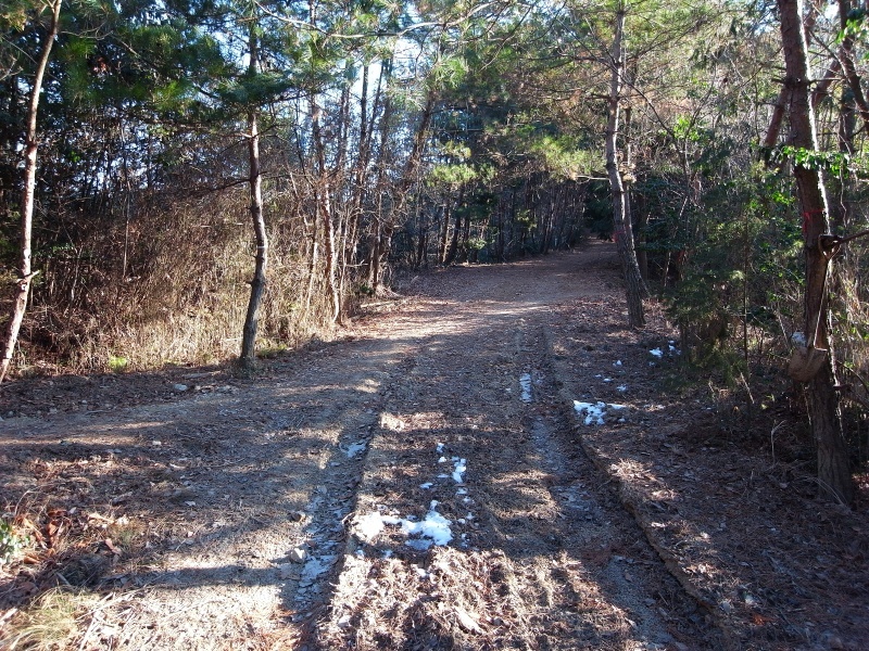 f0325295_15164999.jpg