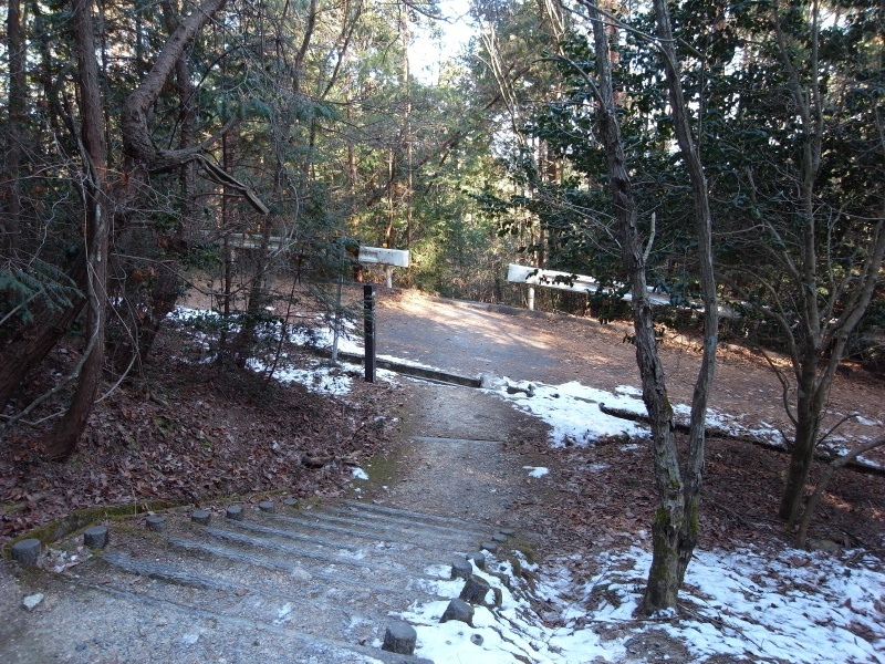 熊山 反射板コースを登る！の巻_f0325295_15324393.jpg