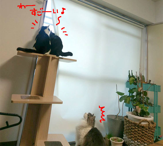 d0071596_21101863.jpg