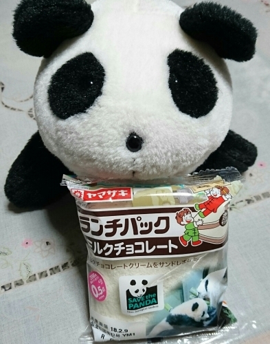 パンダのランチパック_f0033598_22134937.jpg
