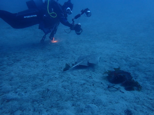 e0115199_12455289.jpg