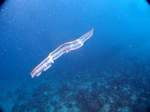 e0115199_15534523.jpg