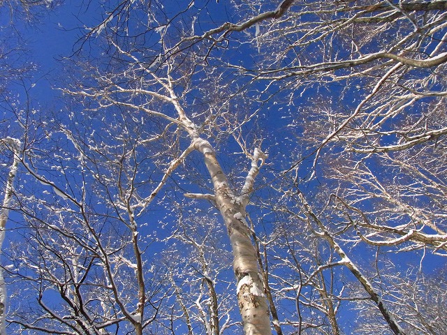 f0157901_1720454.jpg