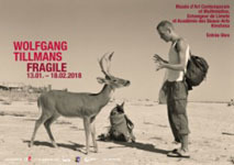 Wolfgang Tillmans: FRAGILE / Deer Hirsch ポスター_c0214605_13123850.jpg