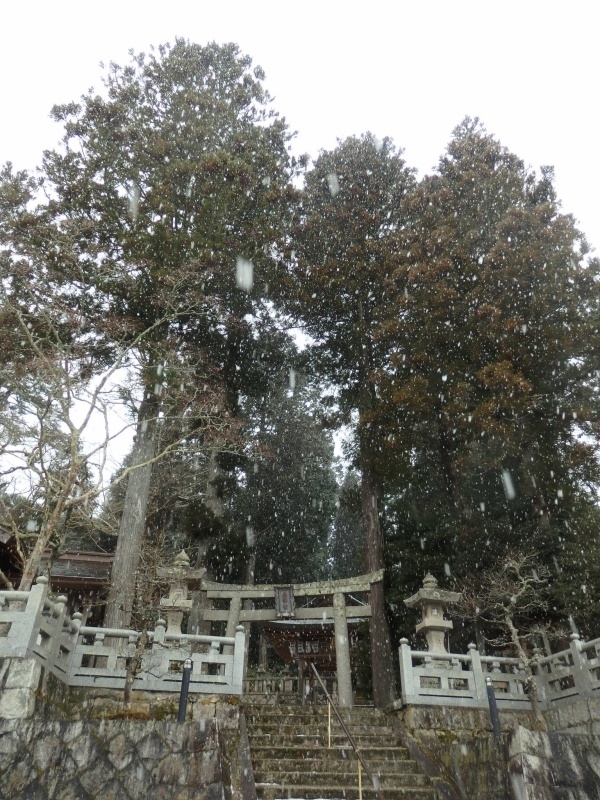 甲賀+伊賀のアートな旅路1 六花舞う茶のみやぐら 編_f0351305_14372724.jpeg