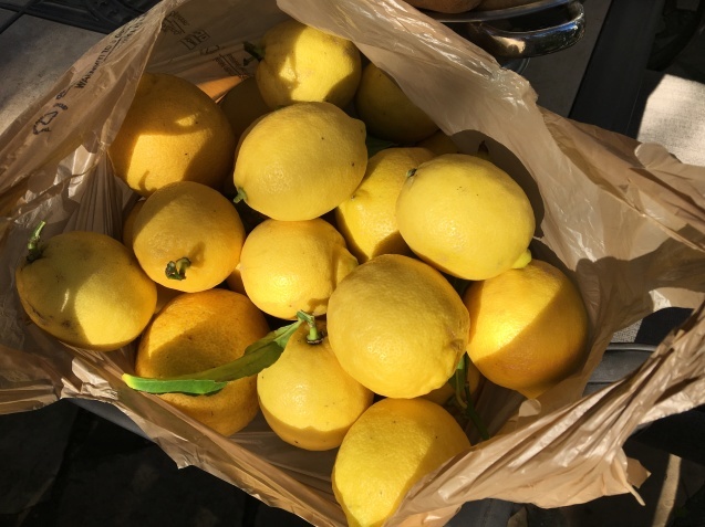 b0366211_14541542.jpeg